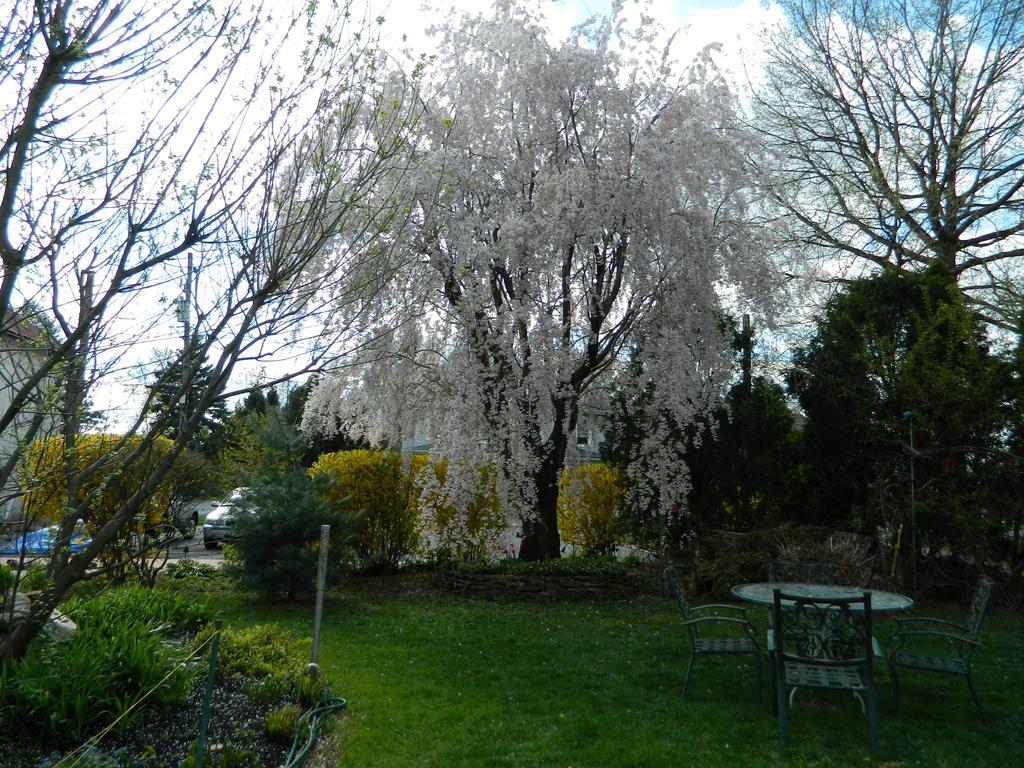 Ej Bowman House Bed & Breakfast Lititz Esterno foto